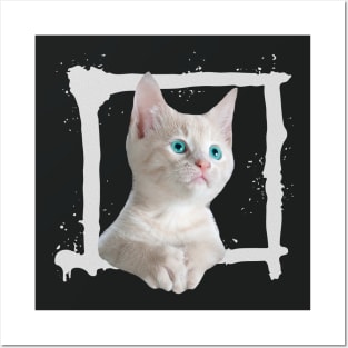 Green Eyes White Kitten Posters and Art